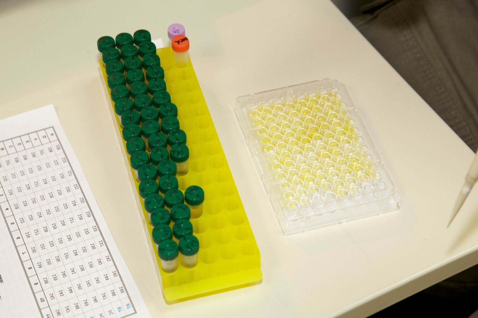 Laboratório de genética molecular — análise de DNA e bioprospecção