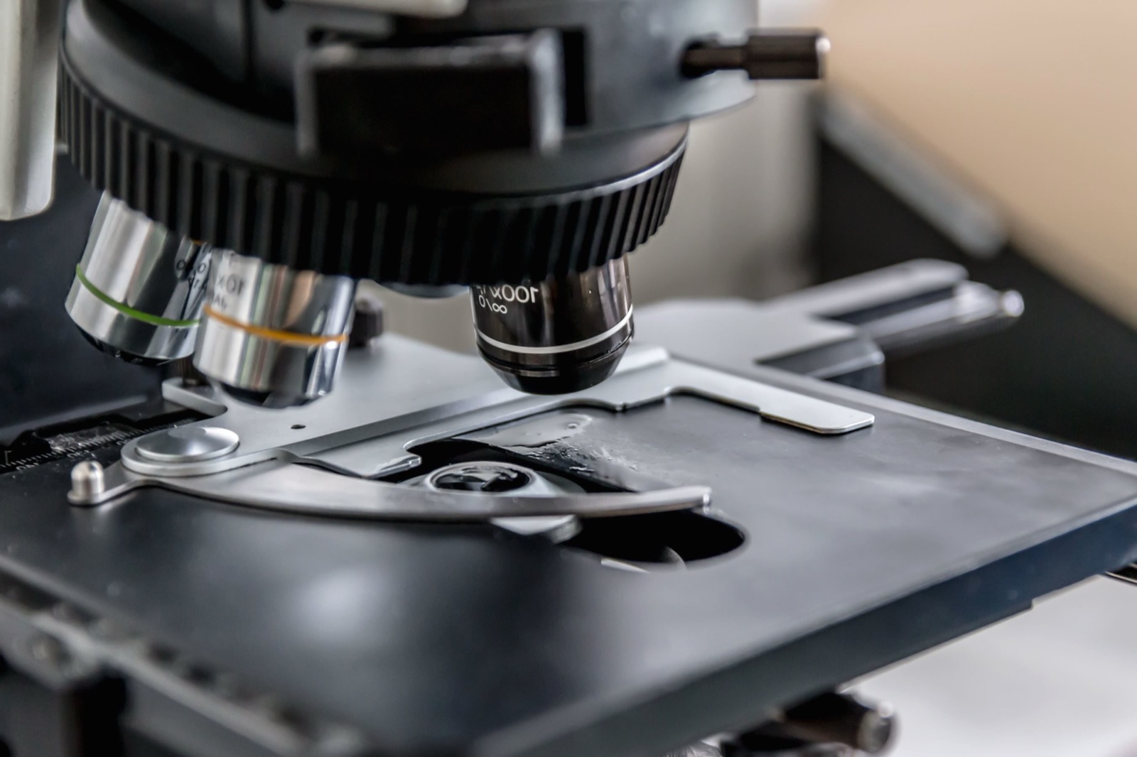 Microscópio em laboratório — triagem de cepas de alta performance